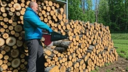 Заготовка дров в Пушкине